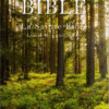 La Sainte Bible – Version Louis Segond 1910 | [L3A1]