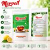 🌿💚 THÉ MINCEUR NATUREL – DÉTOX & VENTRE PLAT [H3A1]
