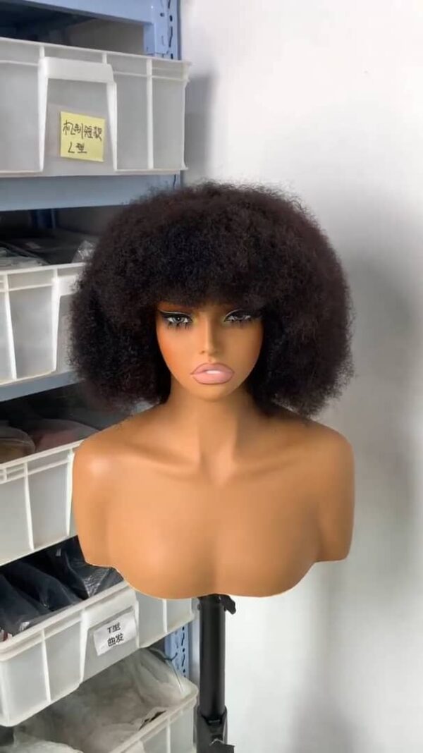 Perruque Afro Fluffy – Noir (Generic Hair) [H7A1]