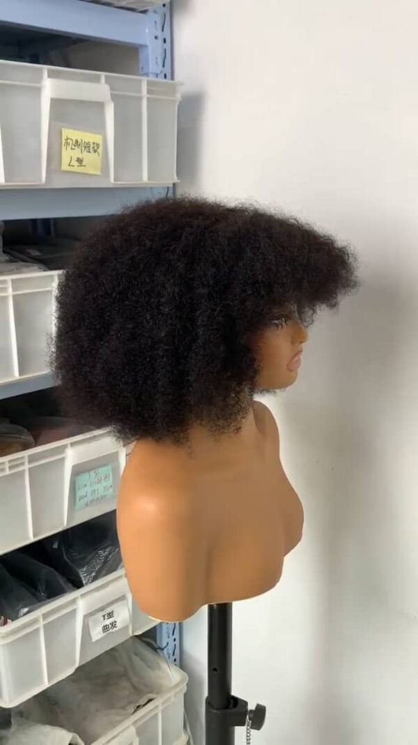 Perruque Afro Fluffy – Noir (Generic Hair) [H7A1]