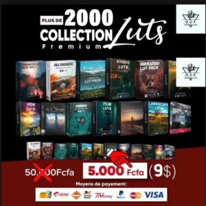 🔥 PACK DE +2000 LUTs CINÉMATIQUES PREMIUM 🔥[L5A2]