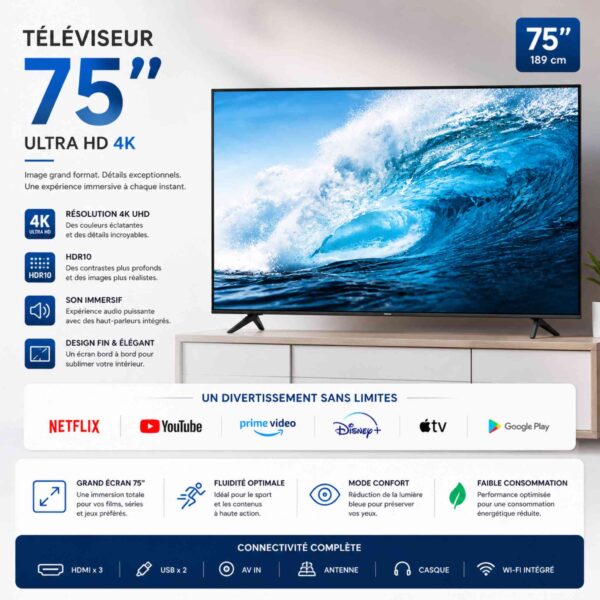 Téléviseur SMART 75" – L'Expérience Cinéma Grand Format [E21A1]